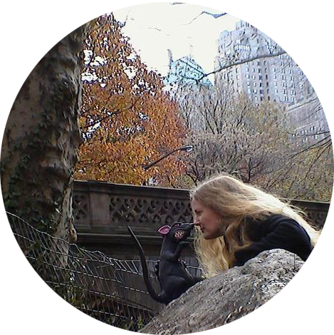 Rat in Central Park